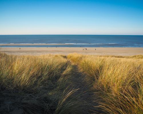 Brede variëteit aan moderne kleurconcepten