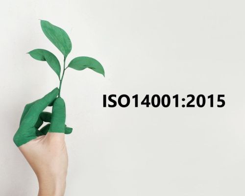 Strong manufacturer VEBE achieves ISO 14001:2015 environmental certificate