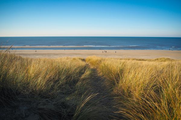 Duurzame vloeren oplossingen